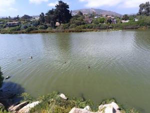 Zapallar Laguna Y Mar a una cuadra playa maitencillo