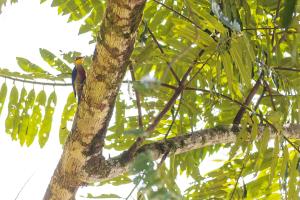 Sitio Dona Bela - Rio da Prata
