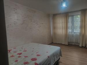 Garsoniera țiglina 1