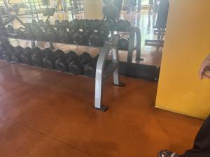 Levi & Moon Relax and Chill