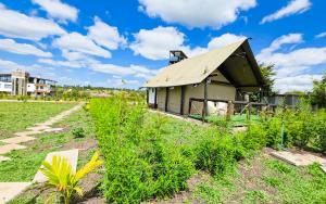 The Lantern Gardens - Oloirien