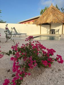 Luxe Huis Met Privzwembad Villapark Fontein