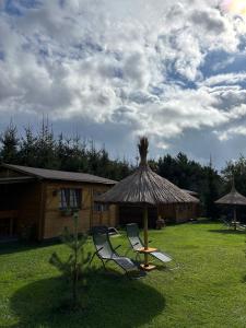 Villa de Alvydo Anykščiuose