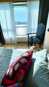 The Cliffs - Ortigueira Kalmak