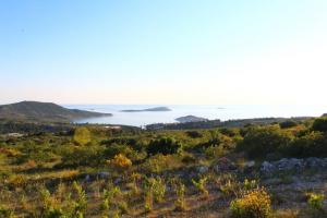 Robinzonski Turizam "Belvedere"