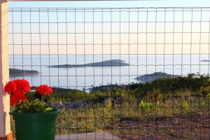 Robinzonski Turizam "Belvedere"