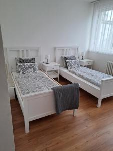 Apartmans MWM Brno 3