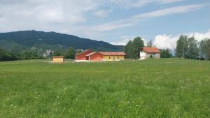 la tana della gallina