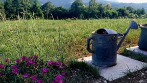 la tana della gallina