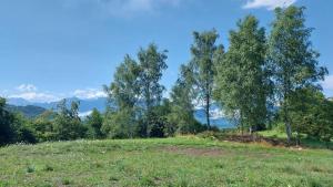 la tana della gallina