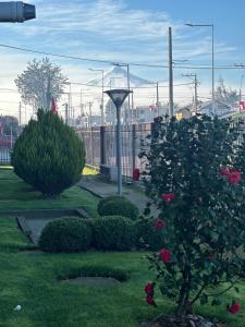 Volcano View Apartments