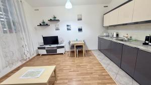 Ground Floor Apartment