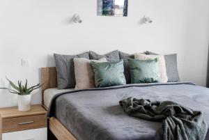 Sunny apartment with terraces in Královo Pole