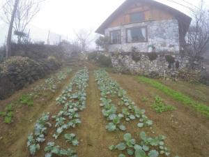Vis House - Nature in the middle of Hmong village