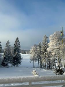 Stunning lakeside home with sauna surrounded by nature