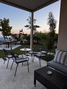 Green Coast Palase 241