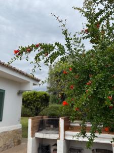 Ideal house for two families with pool and barbecue