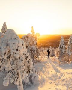 Ski Resort & Hotel Pikku-Syöte