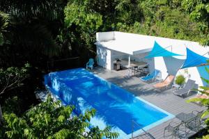 Tortuga, 1BR Apartment in Villa Mar y Sol, Pool, Big Deck, and Wildlife