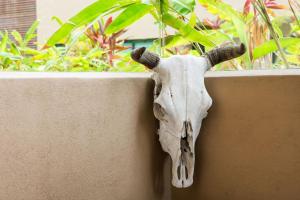 Casa Armada Beachfront Condo with Pool