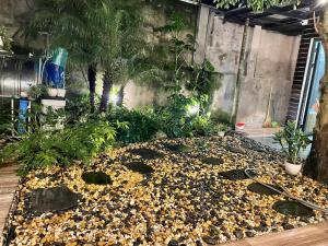 Không gian xanh an yên bên Hồ Tây