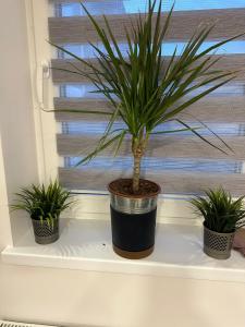 Hostel Vista near Minsk Mazowiecki