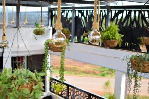 Acacia Lounge &Grill, Hakati