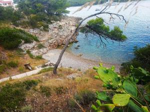 Apartments Nikolina - Vitarnja