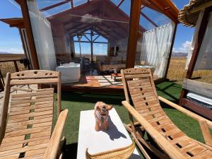 QHOCHA Titikaka lodge