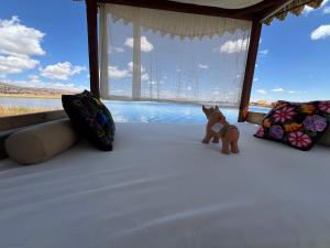 QHOCHA Titikaka lodge