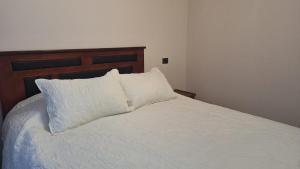 Departamento dos dormitorios dos baños Santiago centro