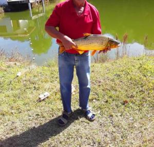 Sitio RECANTO DAS CORUJAS