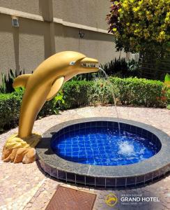 Golden Dolphin Grand Hotel
