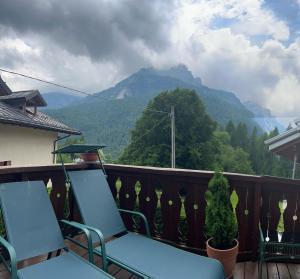 Alpine nest in Val di Zoldo