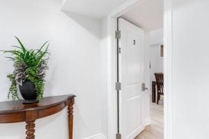 Cozy 1BR Lower Level Walking distance to shops