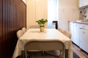 Srebrnjak Apartment - a Touch Faded, but Classic