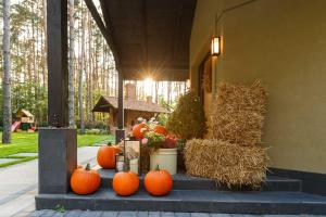 Villa Aleksandrow SPA