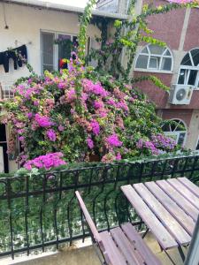 Büyükada Çarşı Pansiyon