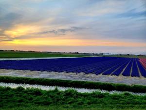 Apartment with Garden in Dutch Countryside