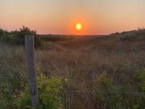 Apartment with Garden in Dutch Countryside