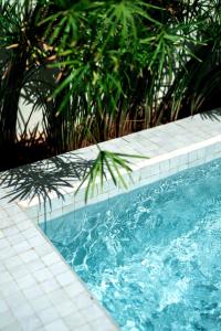 Le Singe Rose & SPA
