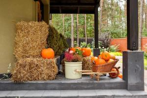 Villa Aleksandrow SPA