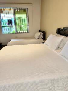 CASA HOSTAL VILLA CAROLINA - Pueblo Bello