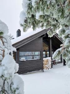 Bright Cabin In Eggedals Beautiful Mountains