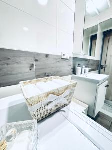 Apartmán u Louckého kláštera 2 plus KK