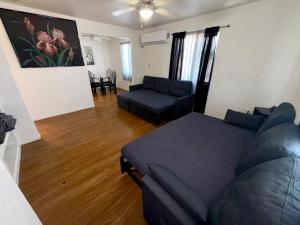 Flowers Apt 5 Min Walk to Downtown - Free Parking