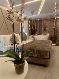 Hotel Agora Boutique