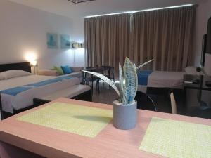 Playa Blanca Panoramica