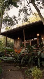 ANAVÁ casa en la selva