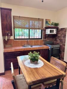 Tiny Paradise Ground Floor Studio